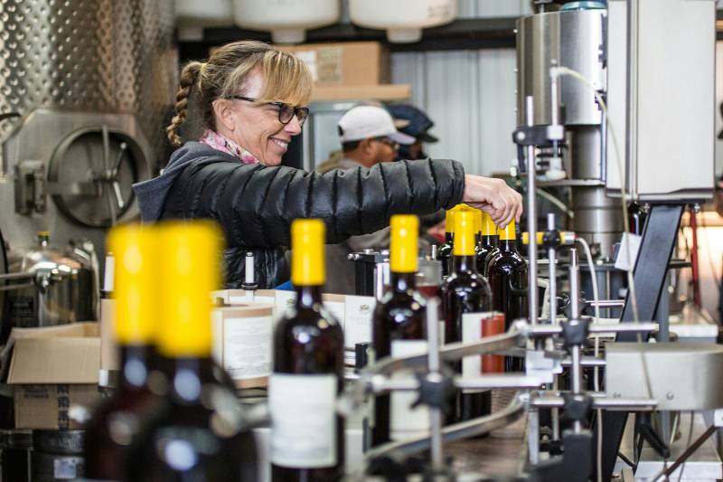 Winemaker working in the cellar
