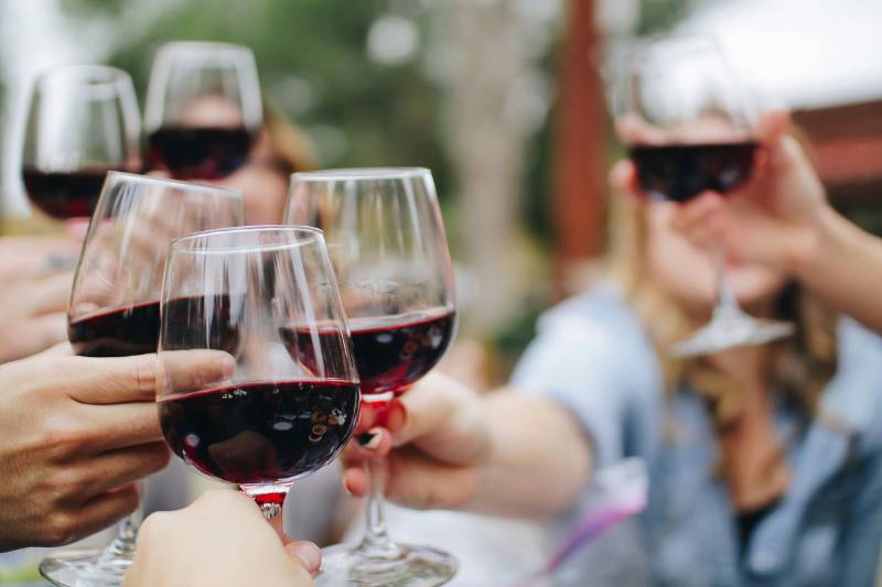 Guests raising wine glasses in a toast