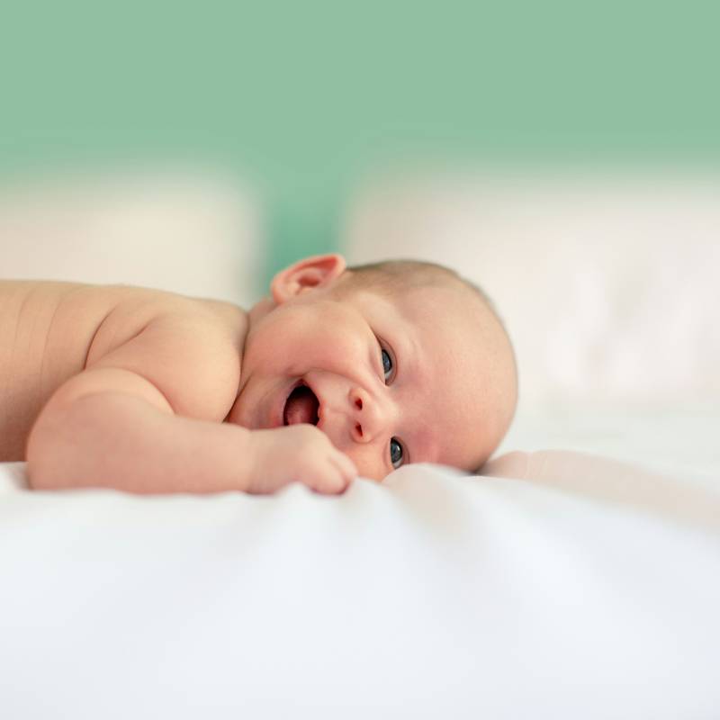 Newborn baby resting